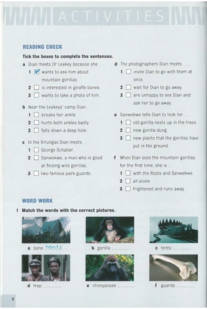 bộ dominoes 3 dian and the gorillas - Ảnh 10