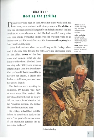 bộ dominoes 3 dian and the gorillas - Ảnh 5