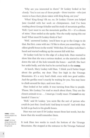 bộ dominoes 3 dian and the gorillas - Ảnh 6