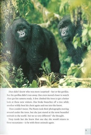 bộ dominoes 3 dian and the gorillas - Ảnh 9