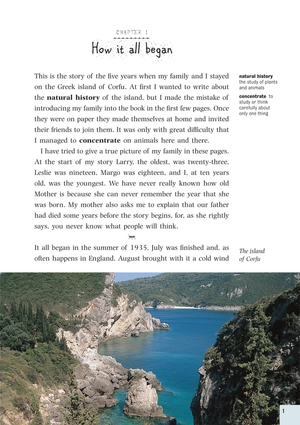 bộ dominoes 3 my family and other animals - Ảnh 4