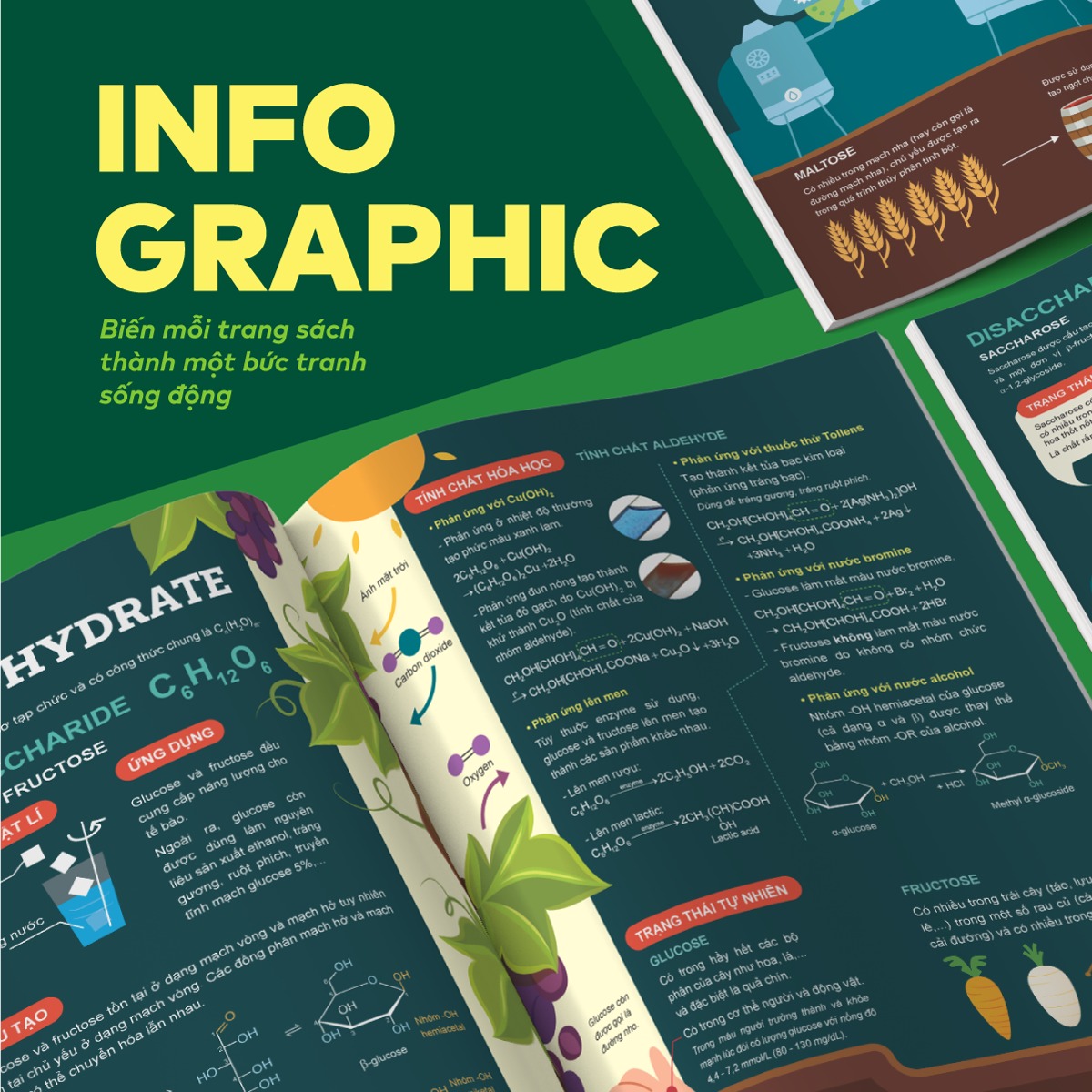 Bộ Đột Phá Tư Duy Hóa Học 12 - Tập 2 - Ảnh 4