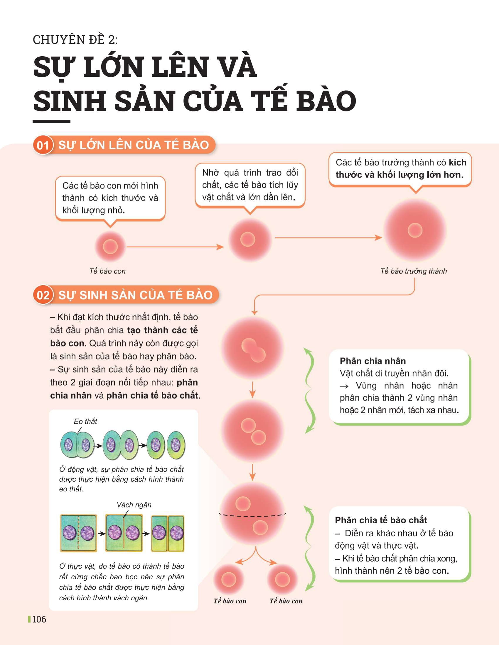 Bộ Đột Phá Tư Duy Khoa Học Tự Nhiên 6 - Tập 1 - Ảnh 11