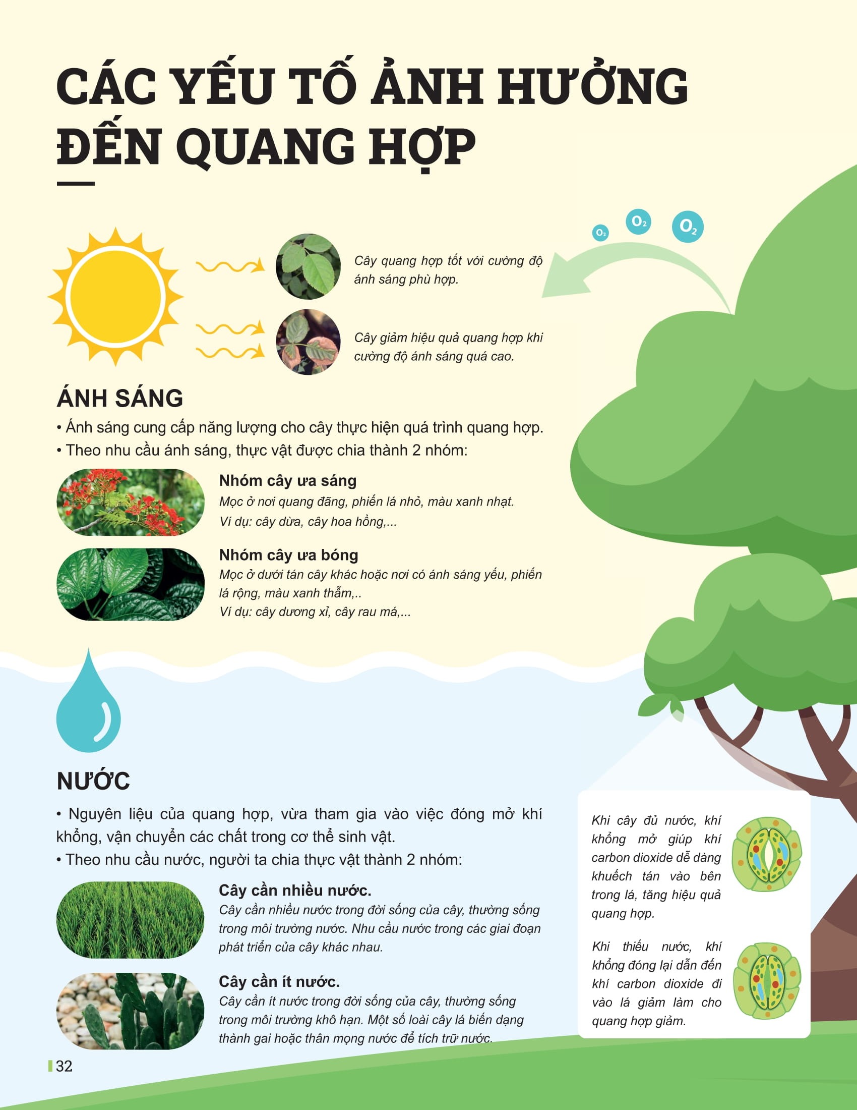 Bo
						
										
										Dot Pha Tu Duy Khoa Hoc Tu Nhien 7 - Tap 1 (Tai Ban 2025) - Ảnh 11