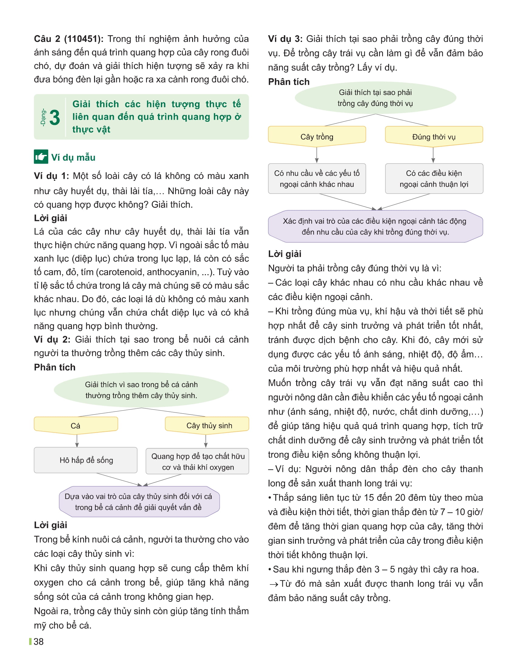 Bộ Đột Phá Tư Duy Khoa Học Tự Nhiên 7 - Tập 2 - Ảnh 15