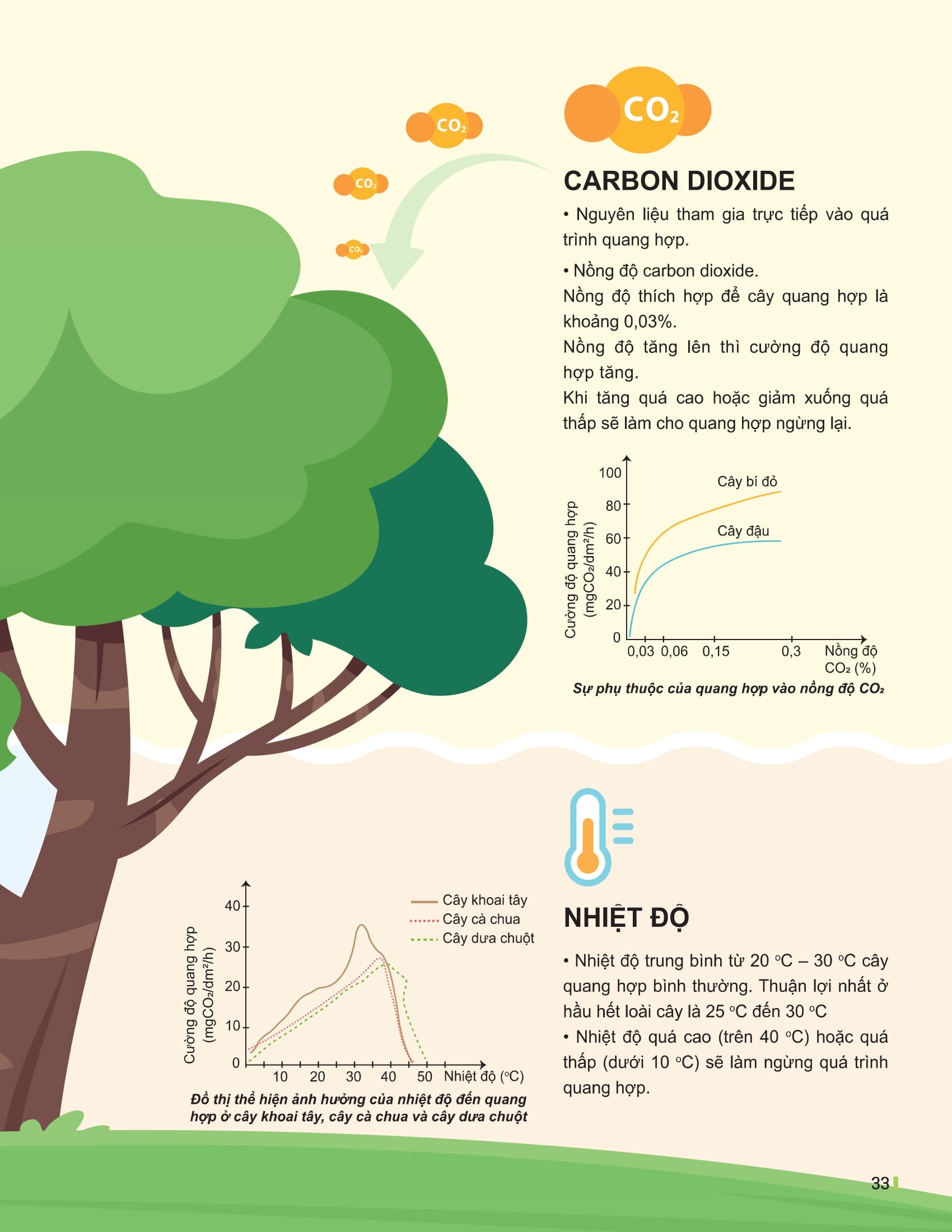 Bộ Đột Phá Tư Duy Khoa Học Tự Nhiên 7 - Tập 2 (Tái Bản 2025) - Ảnh 11
