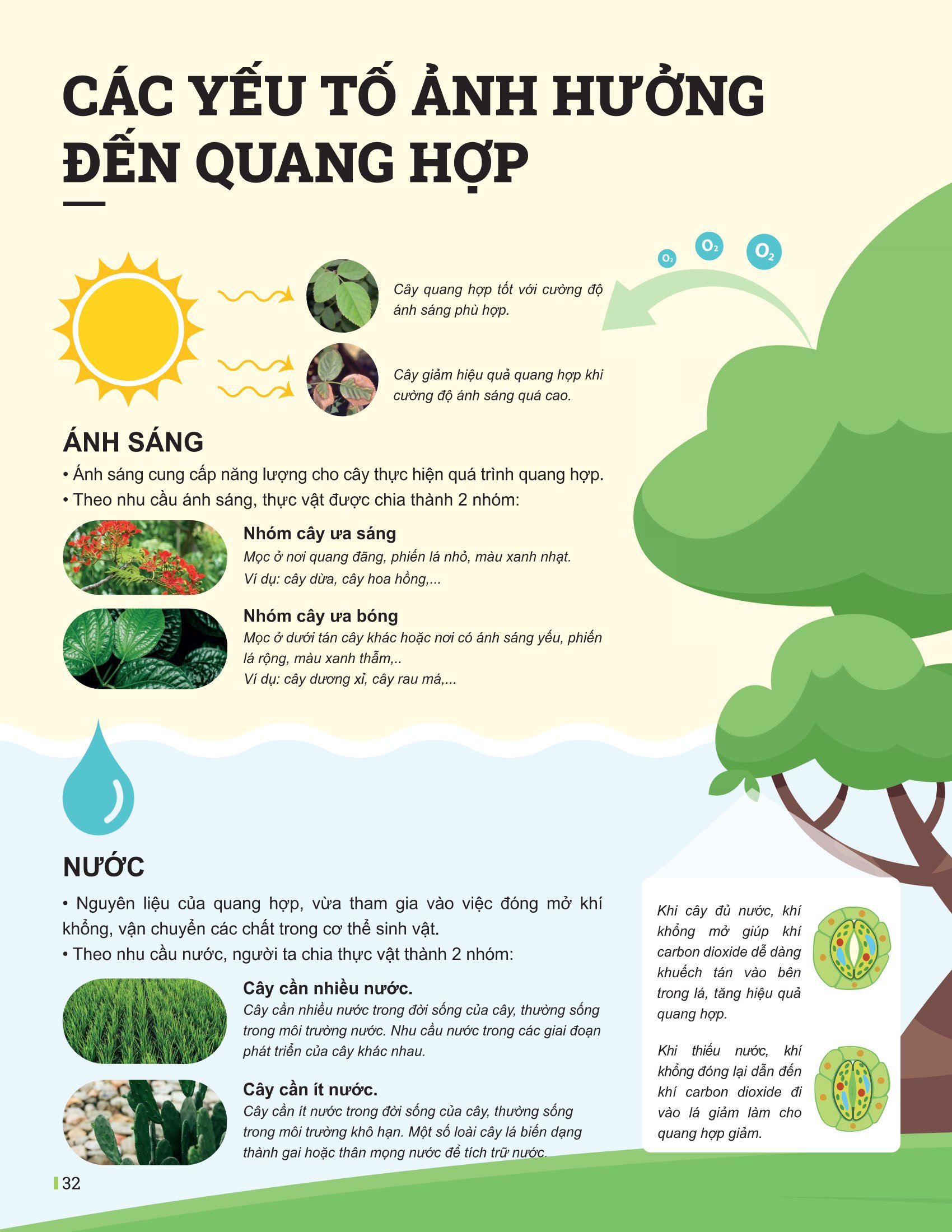 Bộ
						
										
										Đột Phá Tư Duy Khoa Học Tự Nhiên 7 - Tập 2 (Tái Bản 2026) - Ảnh 10