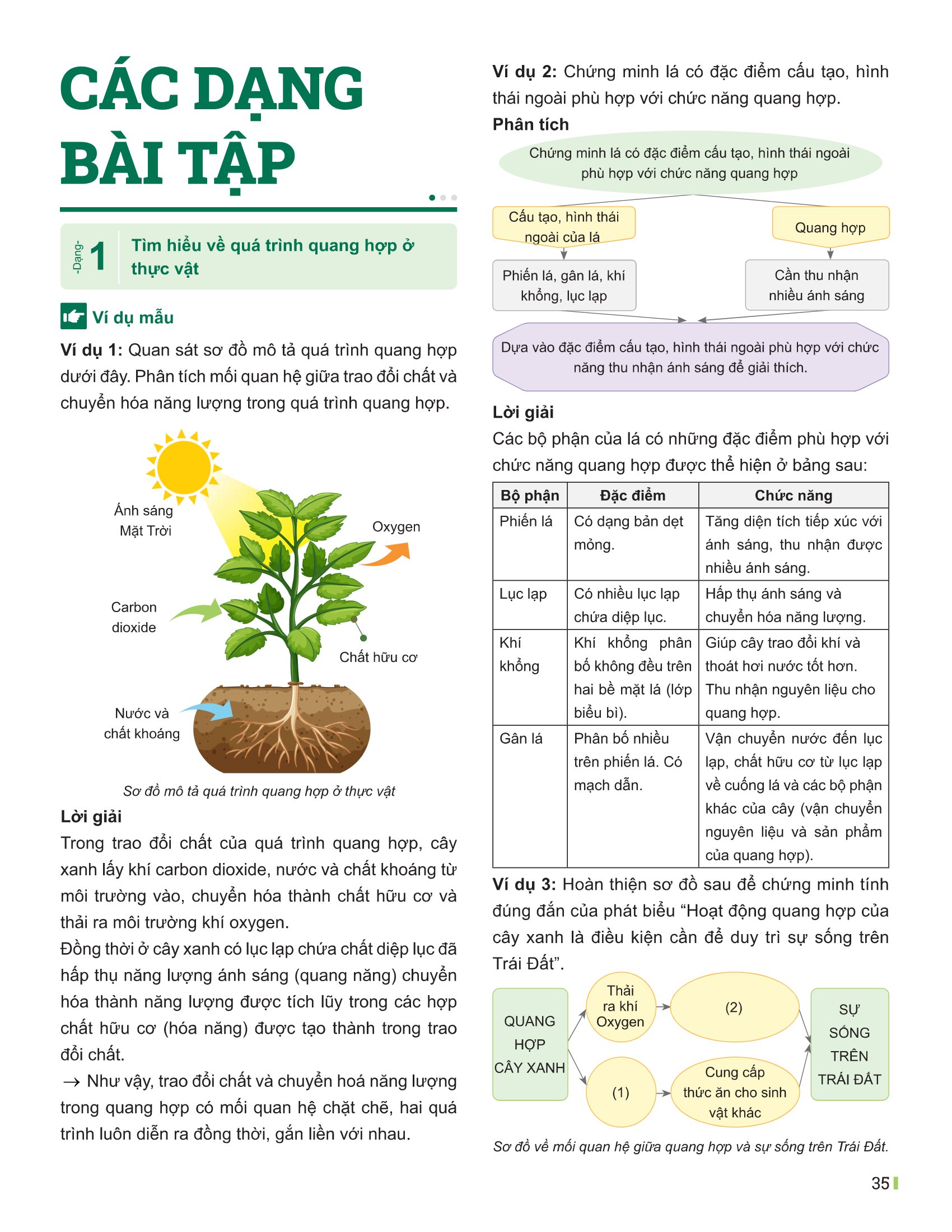 Bộ
						
										
										Đột Phá Tư Duy Khoa Học Tự Nhiên 7 - Tập 2 (Tái Bản 2026) - Ảnh 12