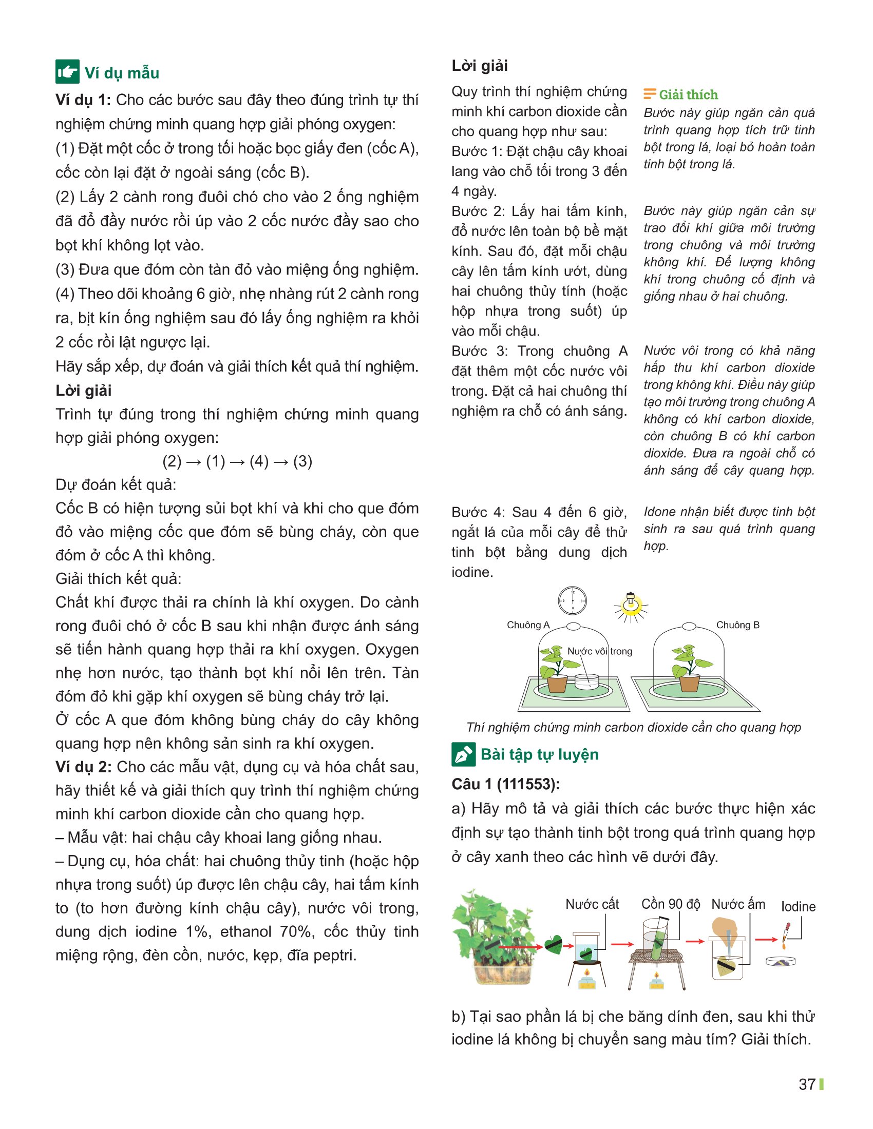 Bộ
						
										
										Đột Phá Tư Duy Khoa Học Tự Nhiên 7 - Tập 2 (Tái Bản 2026) - Ảnh 14