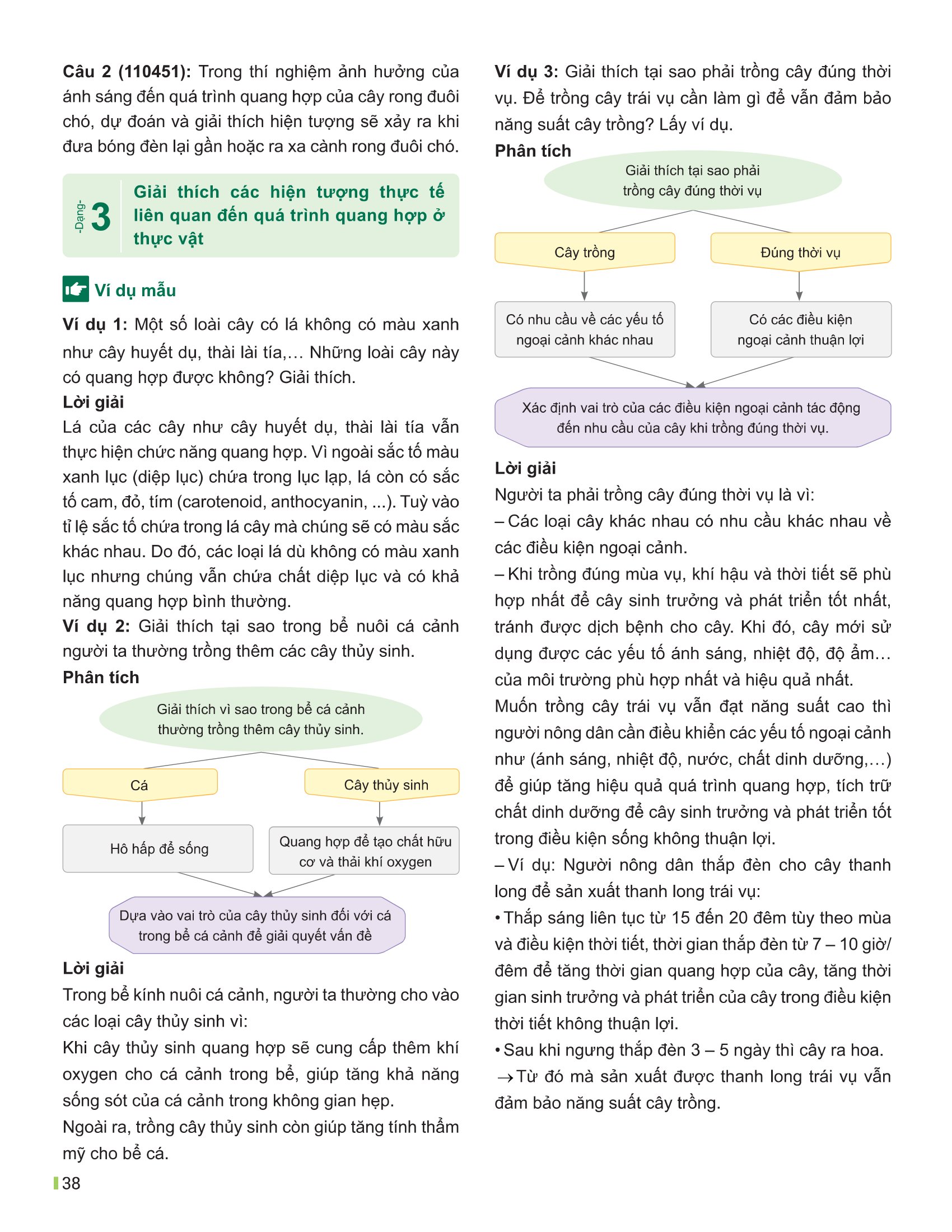 Bộ
						
										
										Đột Phá Tư Duy Khoa Học Tự Nhiên 7 - Tập 2 (Tái Bản 2026) - Ảnh 15