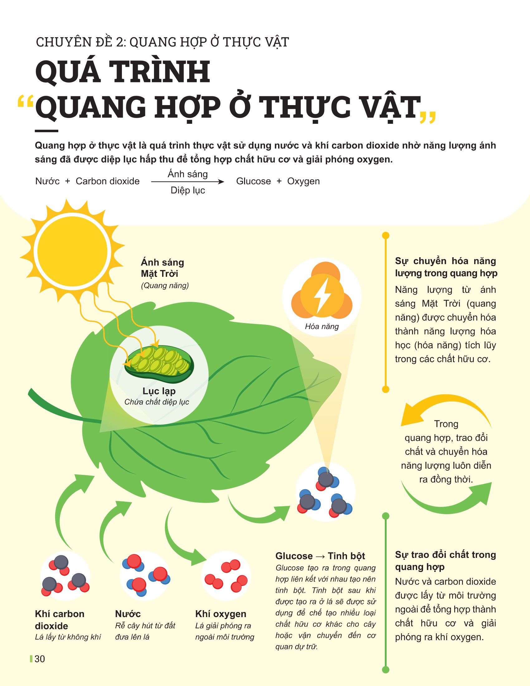 Bộ
						
										
										Đột Phá Tư Duy Khoa Học Tự Nhiên 7 - Tập 2 (Tái Bản 2026) - Ảnh 8