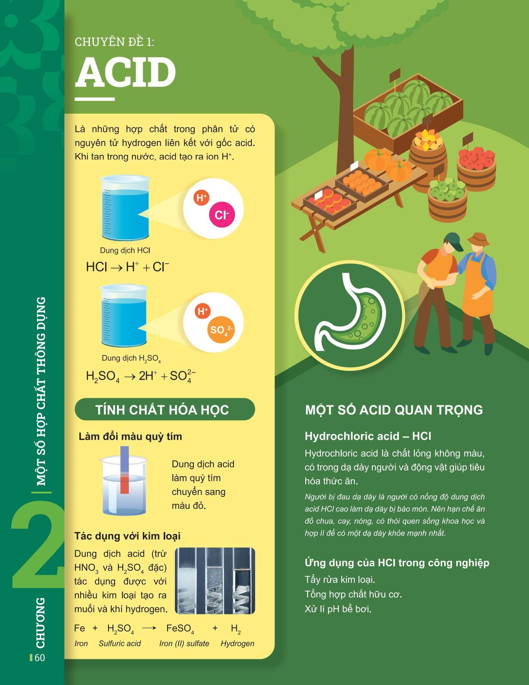 Bộ Đột Phá Tư Duy Khoa Học Tự Nhiên 8 - Tập 1 (Tái Bản 2025) - Ảnh 11