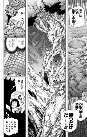 bộ dr. stone 14 (ジャンプコミックス) - Ảnh 10