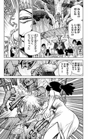 bộ dr. stone 14 (ジャンプコミックス) - Ảnh 15