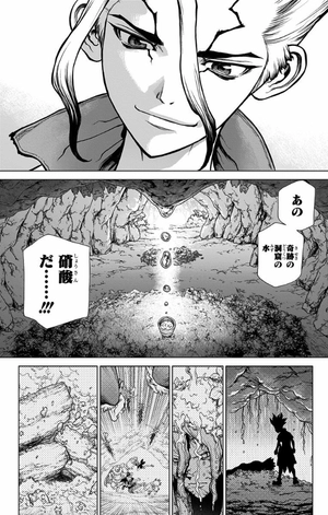 bộ dr. stone 14 (ジャンプコミックス) - Ảnh 8
