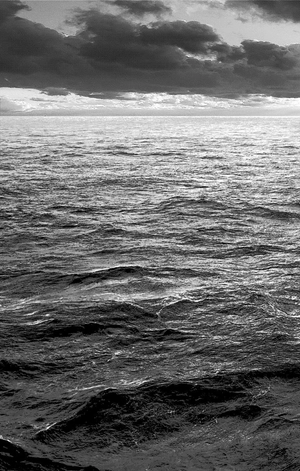 bộ dr. stone 17 (ジャンプコミックス) - Ảnh 13