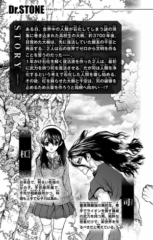 bộ dr. stone 2 (ジャンプコミックス) - Ảnh 5