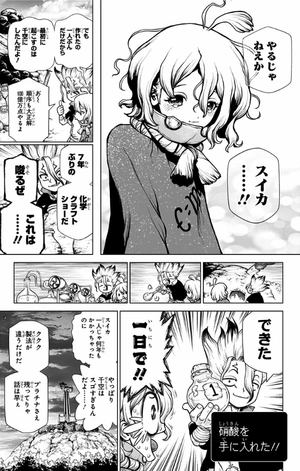 bộ dr.stone 23 - Ảnh 9