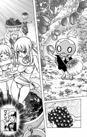 bộ dr.stone 7 (ジャンプコミックス) - Ảnh 16