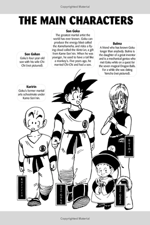 bộ dragon ball z (vizbig edition) vol. 1 (english edition) - Ảnh 4