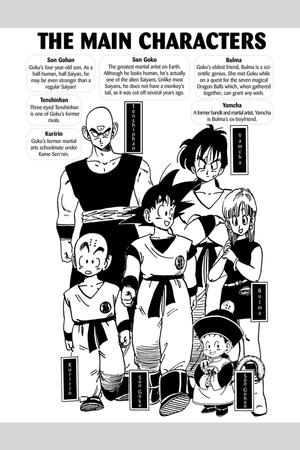 bộ dragon ball z (vizbig edition) vol. 2 (english edition) - Ảnh 5