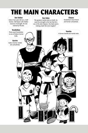 bộ dragon ball z (vizbig edition) vol. 3 (english edition) - Ảnh 5