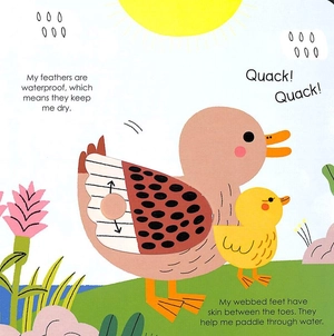 bộ duck (my little green world 6) - Ảnh 5
