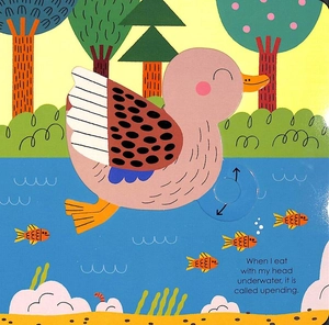 bộ duck (my little green world 6) - Ảnh 6