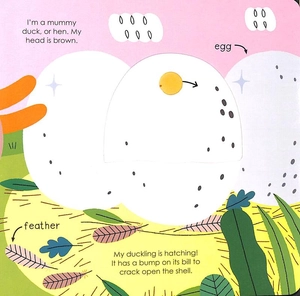bộ duck (my little green world 6) - Ảnh 7