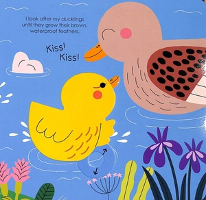 bộ duck (my little green world 6) - Ảnh 8