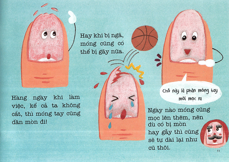 bộ ehon sự kỳ diệu của cơ thể - bí mật của móng tay (tái bản 2020) - Ảnh 10