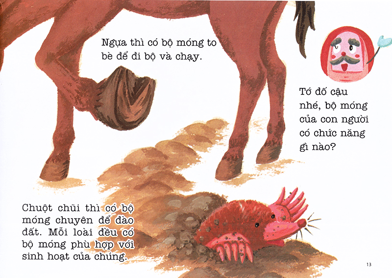 bộ ehon sự kỳ diệu của cơ thể - bí mật của móng tay (tái bản 2020) - Ảnh 12