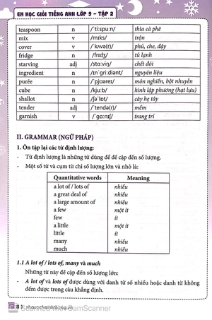 bộ em học giỏi tiếng anh lớp 9 tập 2 (tái bản 2019) - Ảnh 10