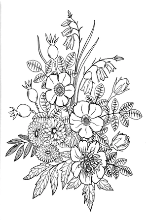 bộ enchanting adult colouring series - book 4 - Ảnh 3