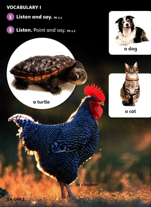 bộ explore our world 2: student's book 2nd edition - Ảnh 6