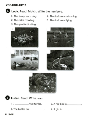 bộ explore our world 2: workbook - 2nd edition - Ảnh 3