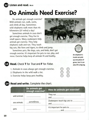 bộ explore our world 4: workbook - Ảnh 21