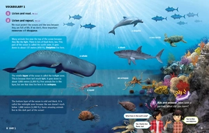 bộ explore our world 5: student's book with olp sticker code - 2nd edition - Ảnh 3