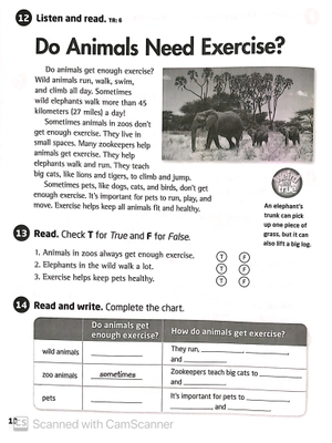 bộ explore our world: workbook 4 - Ảnh 10
