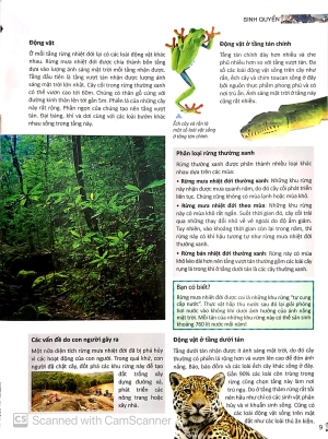 bộ factoscope : geography - sinh quyển 2 (tranh màu) - Ảnh 10