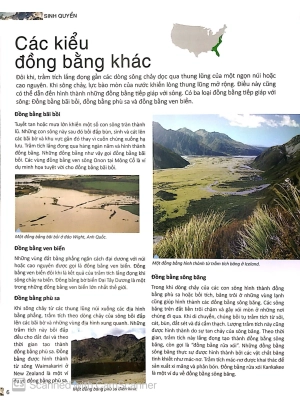 bộ factoscope : geography - sinh quyển 2 (tranh màu) - Ảnh 7