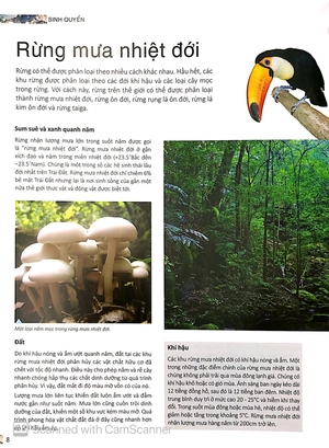 bộ factoscope : geography - sinh quyển 2 (tranh màu) - Ảnh 9