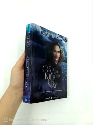 bộ gặp lại kiếp này - Ảnh 13