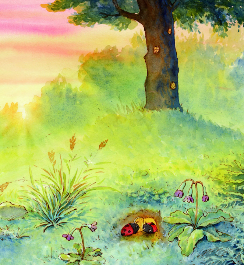 bộ gấu anh - gấu em - tập 2 - ngủ một mình - Ảnh 5