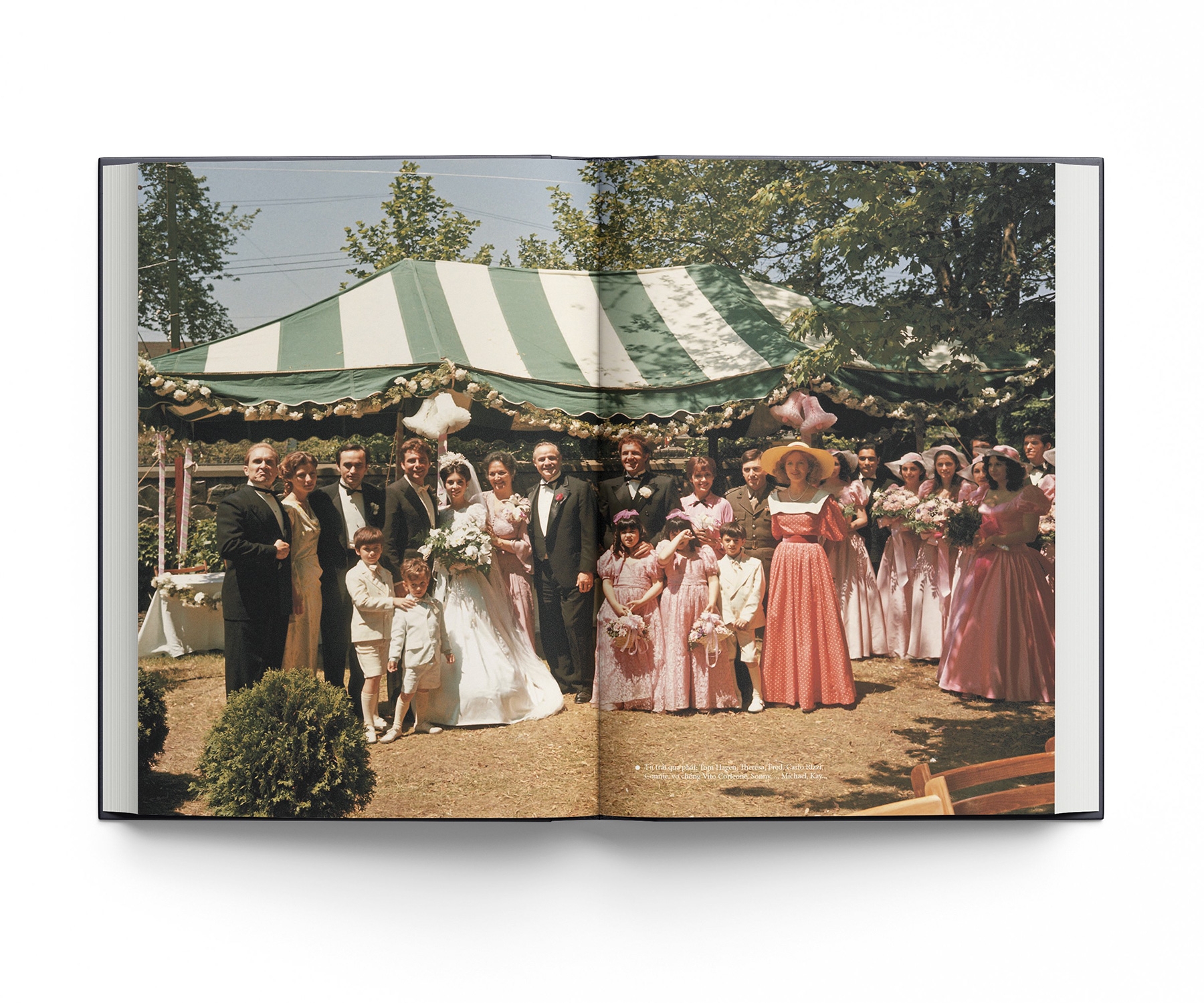 bố già - bìa cứng - Ảnh 5