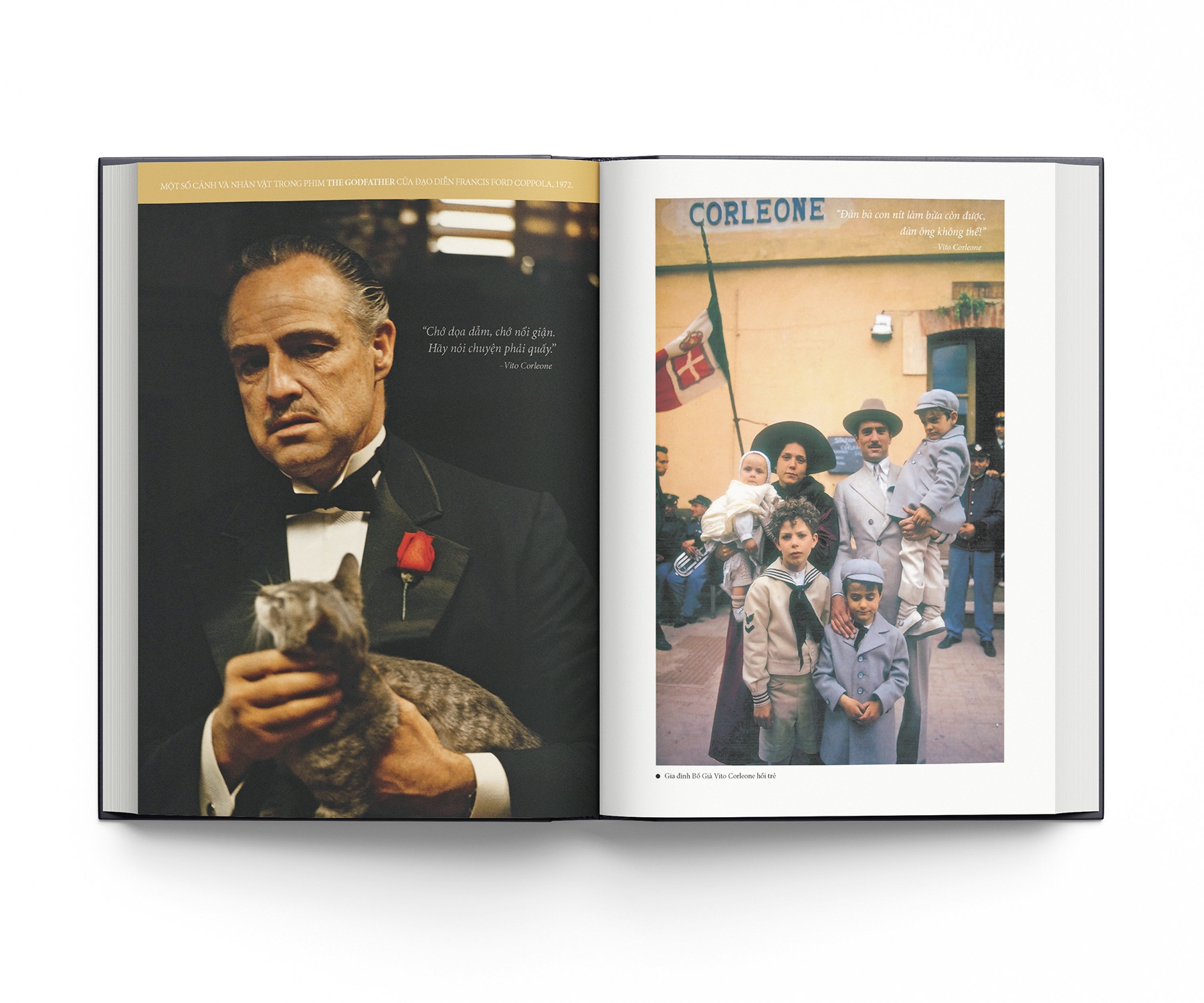 bố già - bìa cứng - Ảnh 6