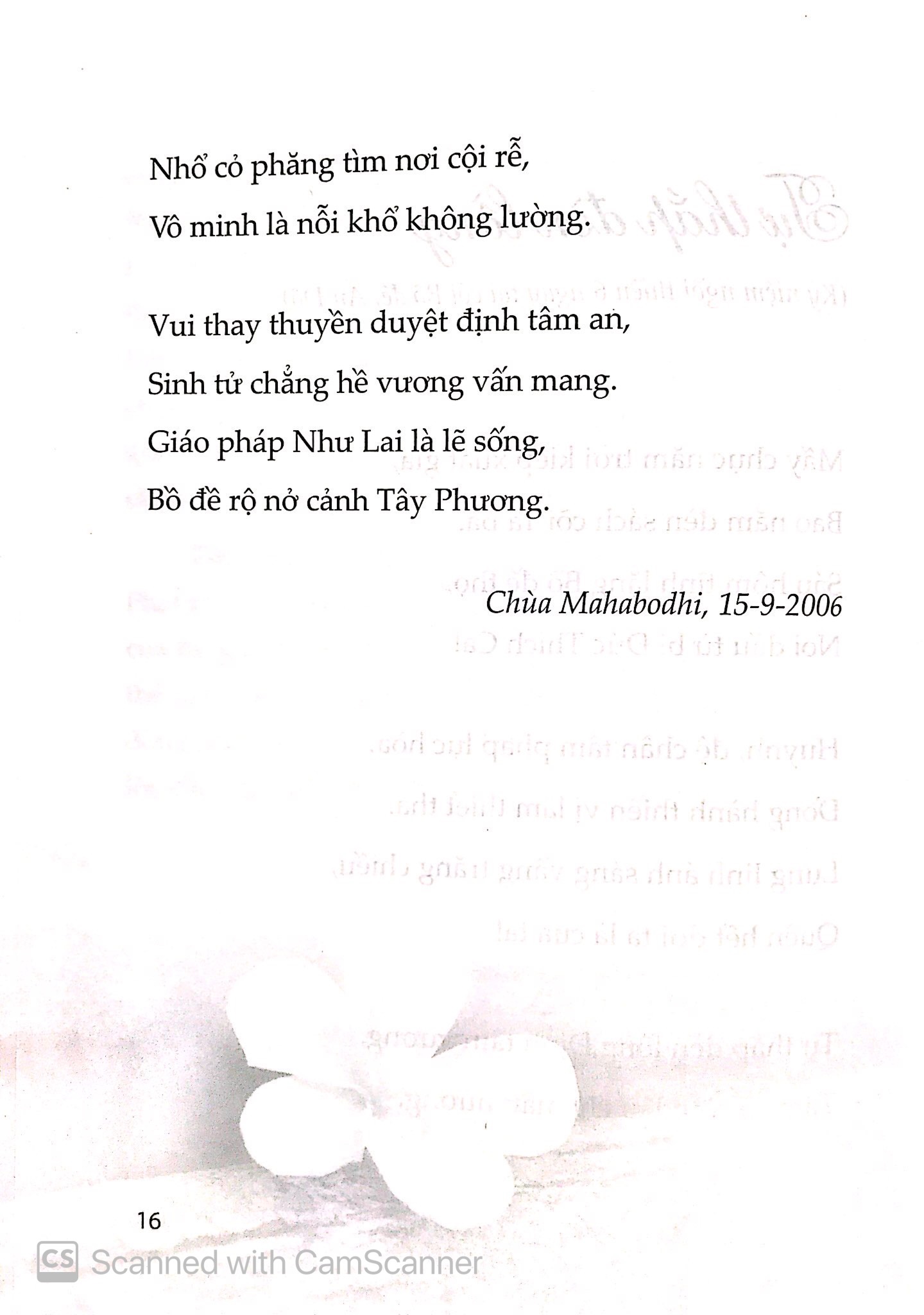 bờ giải thoát - Ảnh 8