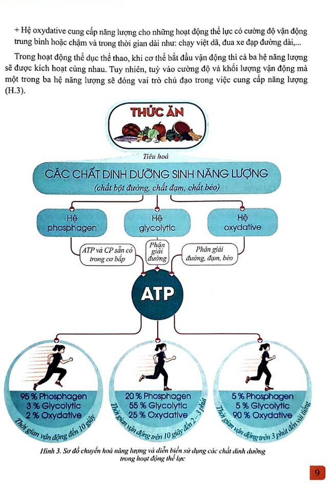 Bo
						
										
										Giao Duc The Chat 12 - Bong Da (Canh Dieu) (Chuan) - Ảnh 7
