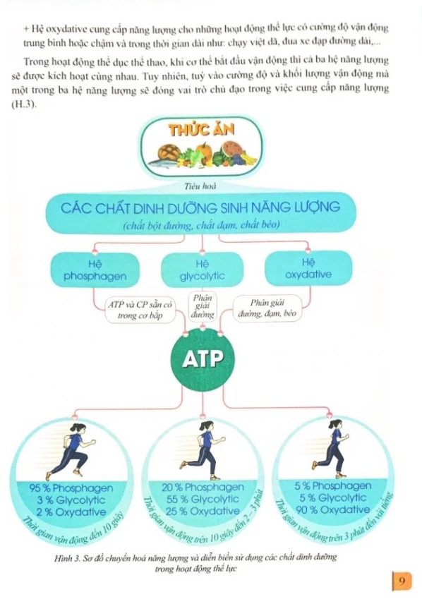 Bo
Giao Duc The Chat 12 - Bong Ro (Canh Dieu) (Chuan) - Ảnh 5