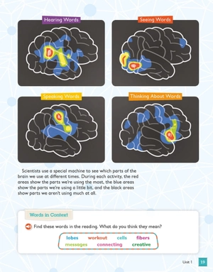 bộ global stage literacy book and language book level 3 - Ảnh 9